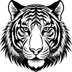 Obraz premium tiger head vector