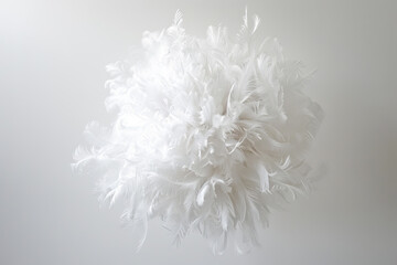 A white flower with feathers is floating in the air