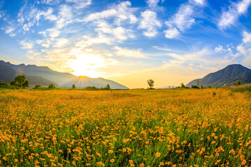 Spring scenery of the waterside park in Buk-myeon, Changwon-si, South Gyeongsang Province, Korea,...