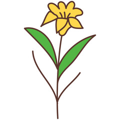 yellow flower isolated on white