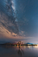 Milky way over Willow tree in the night at Lake Wanaka