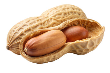 An opened peanut shell displaying two peanuts inside, isolated on a plain white background in natural daylight