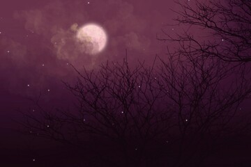 Fototapeta premium moon and clouds