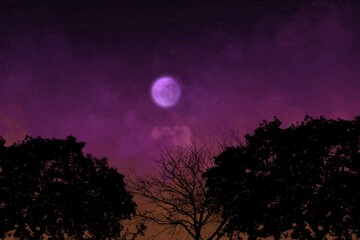 Fototapeta premium moon and clouds