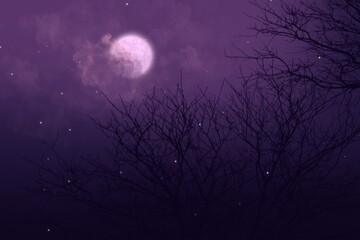 Fototapeta premium moon and clouds