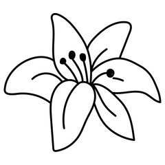 lily flower cartoon doodle outline