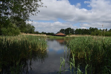 Natural lake scene on a marshland in UK