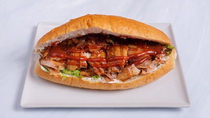 Chicken doner kebab isolated close up