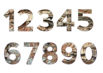 Set design number 0-9 with tree bark texture on white background, set of number tree bark texture.