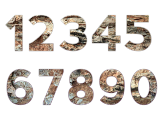 Set design number 0-9 with tree bark texture on white background, set of number tree bark texture.