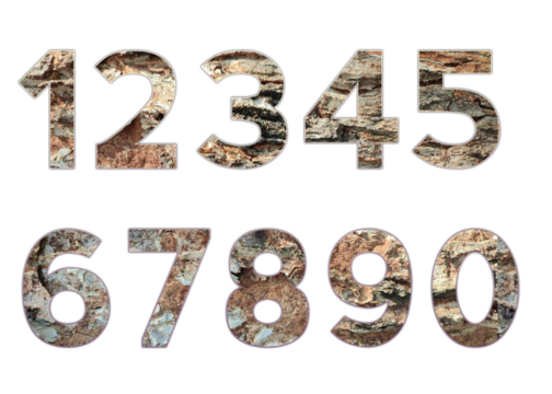 Set design number 0-9 with tree bark texture on white background, set of number tree bark texture.