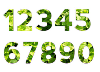 Set design number 0-9 with leaf texture on white background, set of number leaf texture.