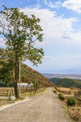 A picturesque road winding through the mountains with a tall tree on the left and a wooden fence on the right. Blue sky with hazy clouds and mountains in the distance. Kiketi, Georgia.