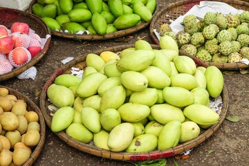 A variety of fresh tropical fruits on the market stall with selective focus on the green mangoes in the center of the image. Hue, Vietnam.