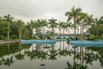A rundown tropical resort swimming pool with palm trees reflecting in the water. Located in a rural...