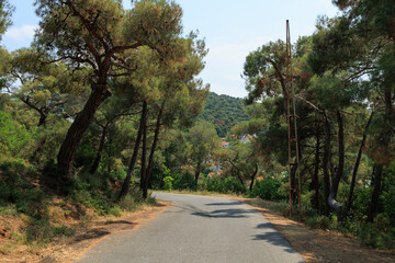 Beautiful road and landscape, streets and roads of a southern small town, public place in Turkey, on a summer sunny day