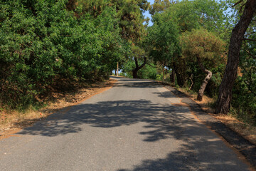 Beautiful road and landscape, streets and roads of a southern small town, public place in Turkey, on a summer sunny day