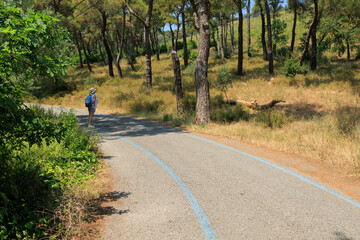 Obraz premium Beautiful road and landscape, streets and roads of a southern small town, public place in Turkey, on a summer sunny day