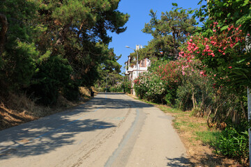 Fototapeta premium Beautiful road and landscape, streets and roads of a southern small town, public place in Turkey, on a summer sunny day