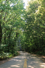 Beautiful road and landscape, streets and roads of a southern small town, public place in Turkey, on a summer sunny day