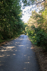 Beautiful road and landscape, streets and roads of a southern small town, public place in Turkey, on a summer sunny day