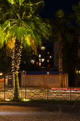 Night view of the city. Black and blue sky, illumination and city streets.