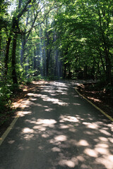 Beautiful road and landscape, streets and roads of a southern small town, public place in Turkey,...