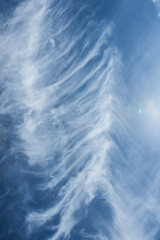 The sky is blue and the clouds are white