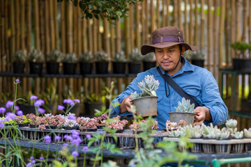 Asian gardener is working inside the propagation shelf table at nursery garden center for succulent...