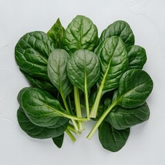 Fototapeta premium fresh spinach leaves