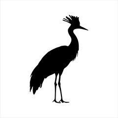 30Black crowned crane silhouette isolated on white background. Crane icon vector illustration design.