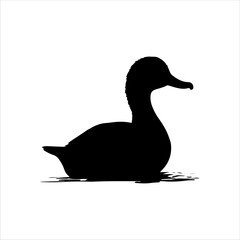 Mallard duck in water silhouette isolated on white background. Duck icon vector illustration design.
