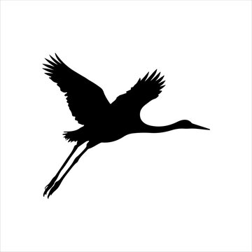 recommend clip art: Flying crane silhouette isolated on white background. Crane bird icon vector illustration design.