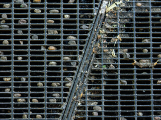 Sternchen verstopfen ein Gitter