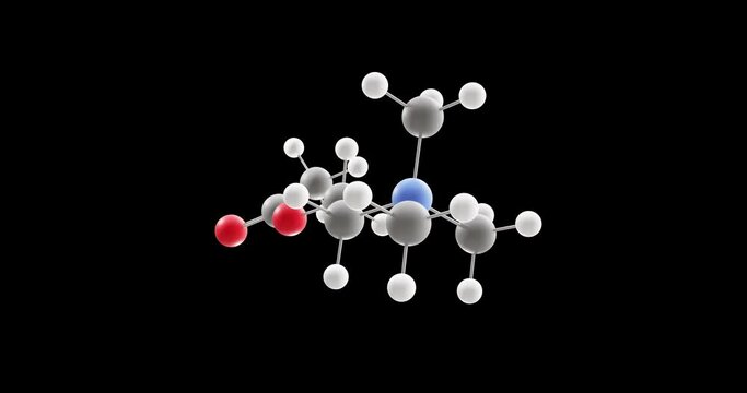 Acetylcholine molecule, rotating 3D model of neurotransmitter, looped video on a black background