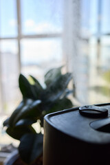 Humidifier in front of window, with plant in background