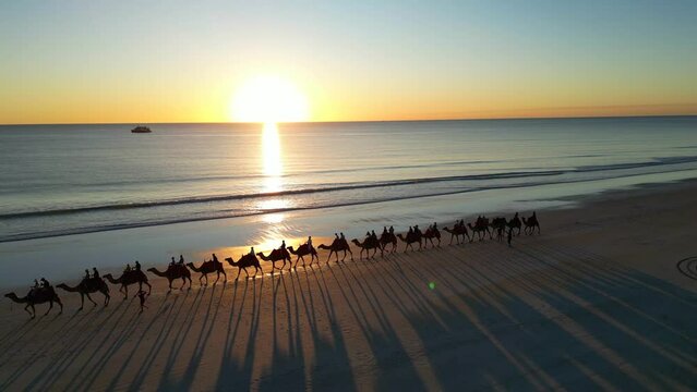 Aerial Footage Camels Walking On Beach at Sunset Sunrise Waves Crashing White Sand Cable Beach Broome Western Australia Casting Shadows