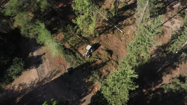 Aerial video above a tactor pulling a tree in Ein Shosfit National Park, Israel