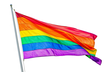 Rainbow flag, isolated on solid white background, PNG di-cut style, realistic photo style, object as model