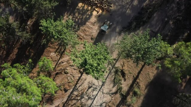 Aerial video above a tactor pulling a tree in Ein Shosfit National Park, Israel