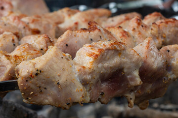 closeup of some meat skewers being grilled in a barbecue