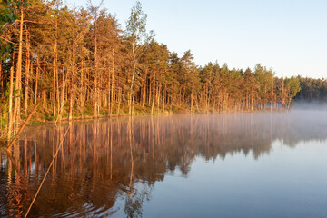 sunrise, sunset landscape by the swamp lake, morning fog, golden hour, reflections in the water, traditional swamp lake vegetation