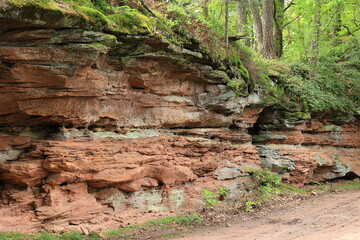 Felsen aus Sandstein im Pfälzerwald die mit Moos bewachsen sind