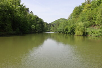 blick auf den schwanenweiher im kurpark von bad bergzabern