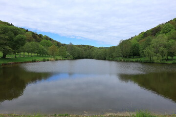 silzer see im pfälzerwald bei silz