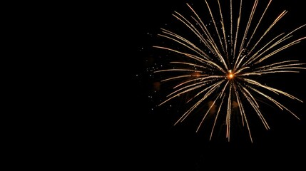 Colorful celebration fireworks isolated on black night sky background. Wonderful fireworks exploding