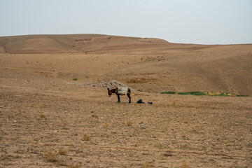 Agafay Desert, Morocco