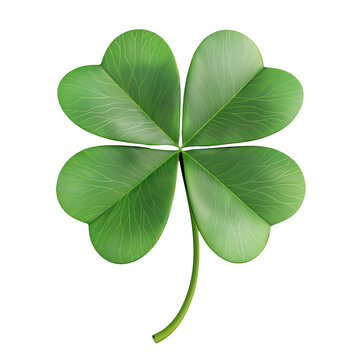 A fresh, green four-leaf clover is set against a pure white backdrop, its leaves detailed with natural veins and adorned with sparkling water droplets, symbolizing good luck