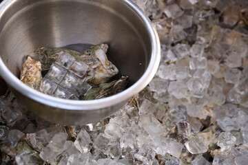 iced oysters