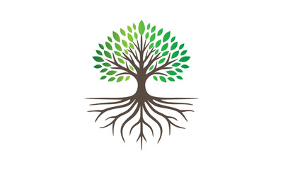 Obraz premium tree vector logo vector art roots illustration isolated green tree 